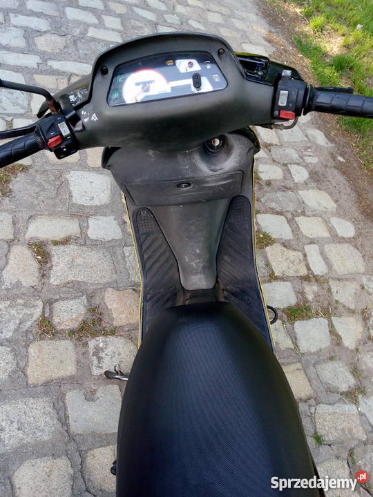 atala hacker Wrocław