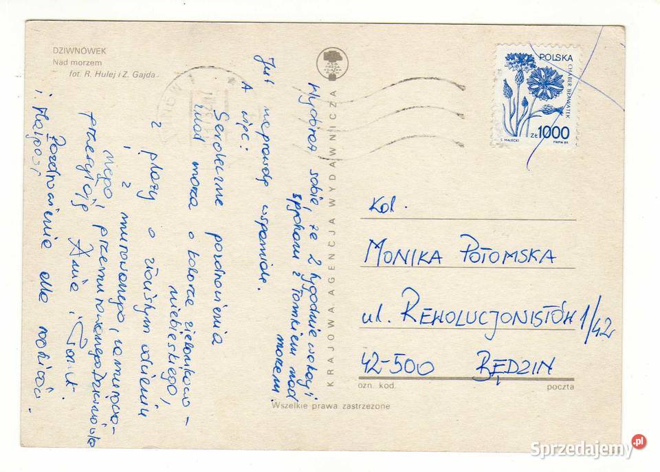 DZIWNÓWEK MORZEM Krynki