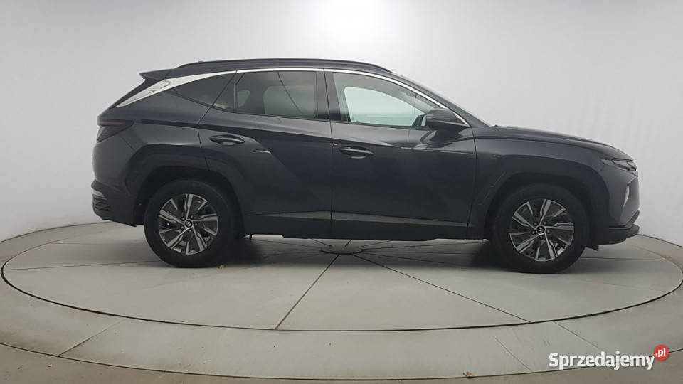 Hyundai Tucson 16 TGDi HEV Executive 2WD Z aluminiowe felgi Samochody osobowe