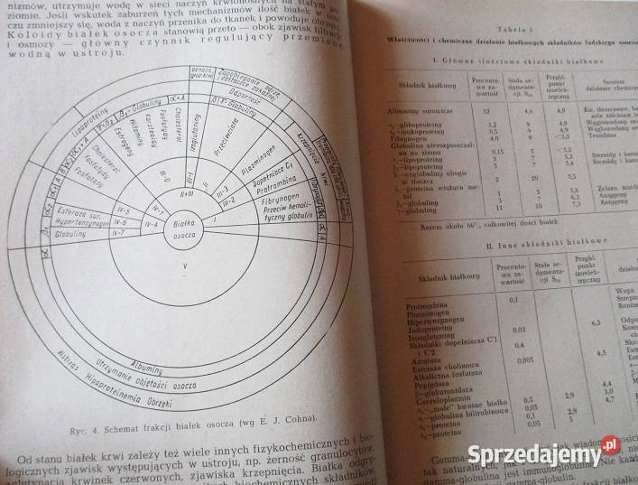 Choroby krwi i narządów krwiotwórczych medycyna medycyna, nauki medyczne Kultura i Rozrywka Łódź