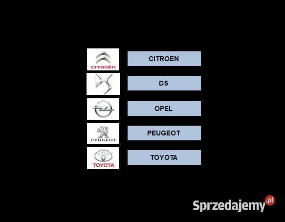 OPEL CITROEN DS PEUGEOT TOYOTA Kodowanie BSI Kraków