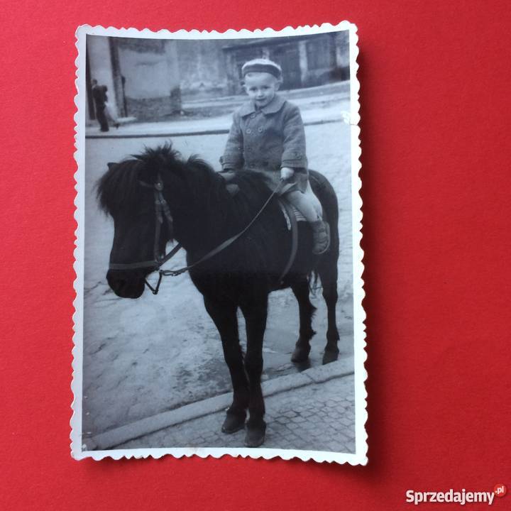 1168 Zakłady Fotograficzne zachodniopomorskie Szczecin