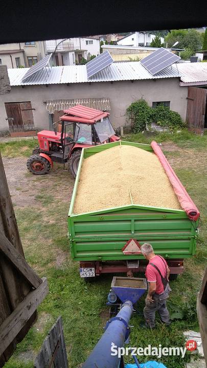 Przyczepa D47B remoncie w 2017 roku nieuszkodzony Kozłowo