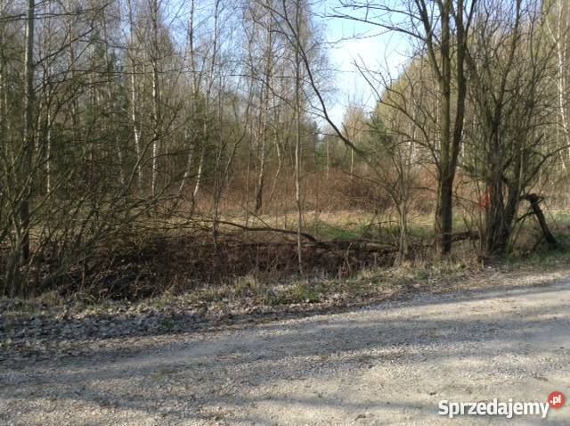 Działka zalewem Bolimowskim Joachimów-Mogiły