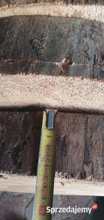 Plastry drzewa olcha Pakość