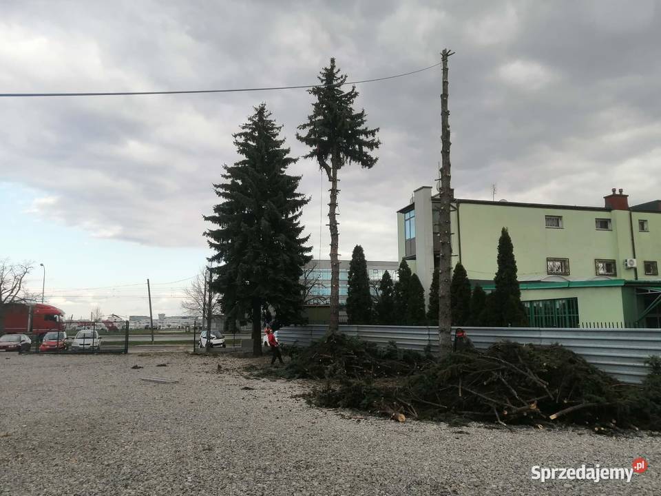 Rębak spalinowy Alpinistyczne wycinki drzew Raszyn