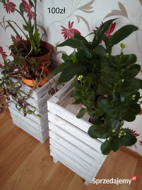 Kwietniki Rośliny Leżajsk