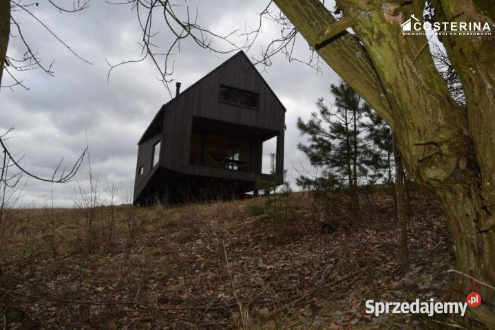 Działka Równe 14000m2 pomorskie
