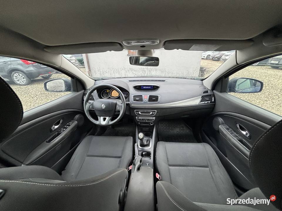 Renault Megane Paniówki