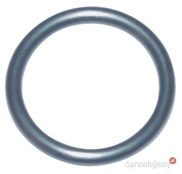 Pierścień uszczelniający oring 270344S Kamionna