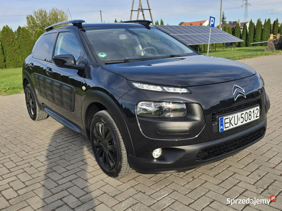 Citroen C4 Cactus 12Turbo Benz NaviKamera Kutno