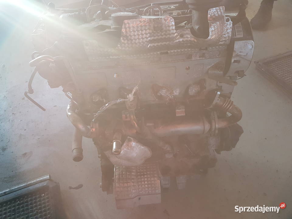 VW PASSAT B6 GOLF VI SILNIK 20 TDI CBD MOTOR CBD Turek sprzedam
