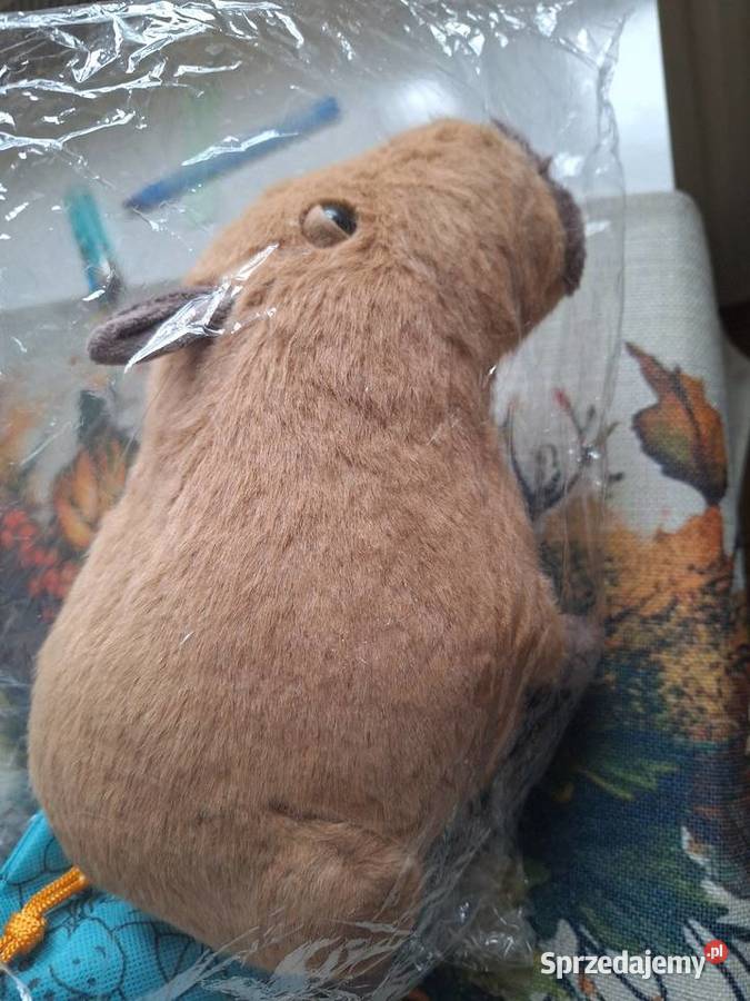 Capybara pluszak Nowy kapibara prezent mikołajki Kalisz