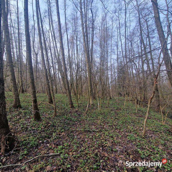 Działka leśnorolna 1400m2 Wola Stróska