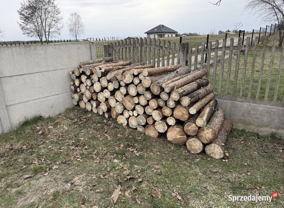 Drewno opałowe Sosna Ogrzewanie Wola Wąkopna