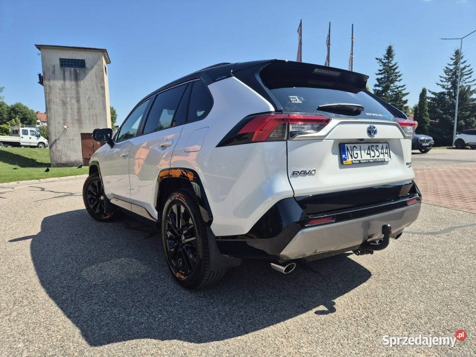 Toyota RAV4 V 2018 światła do jazdy dziennej