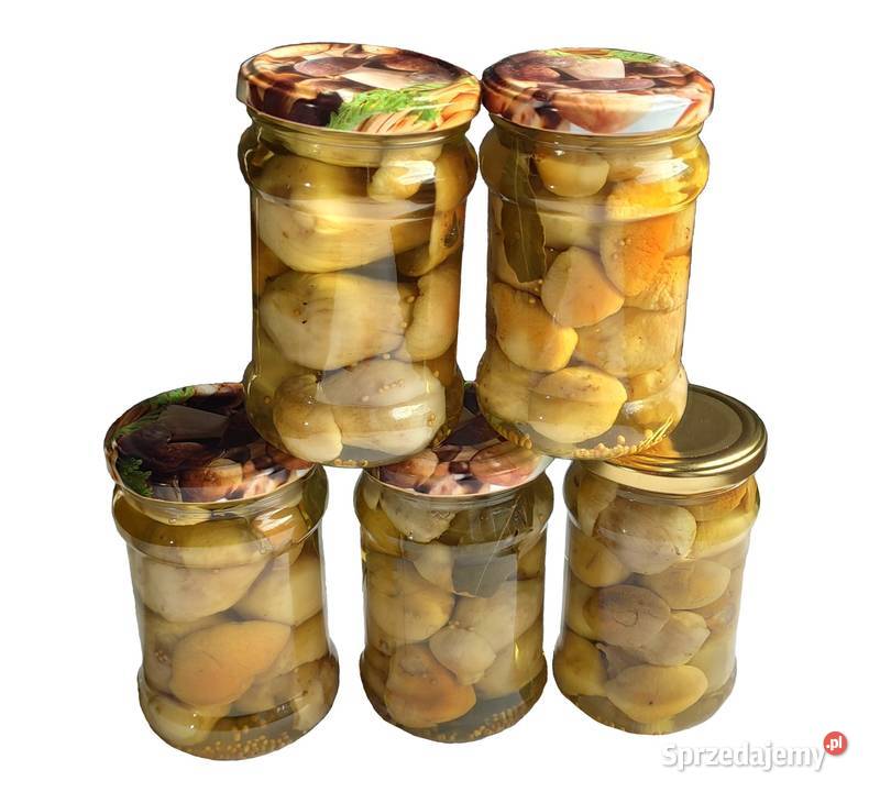 Borowik marynowany MAŁE 315ml 2025 Grzyby Elbląg