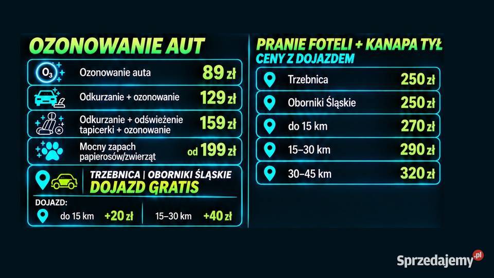 MASZ PLAMY NA FOTELACH KTÓRYCH NIE DA SIĘ DOMYĆ Trzebnica