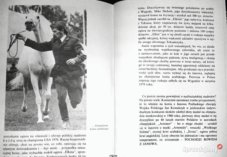 Konie rubinowe Ireneusz J Kamiński