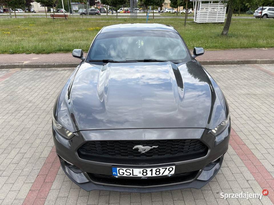 Ford Mustang 37 2015r ASR (kontrola trakcji) Słupsk