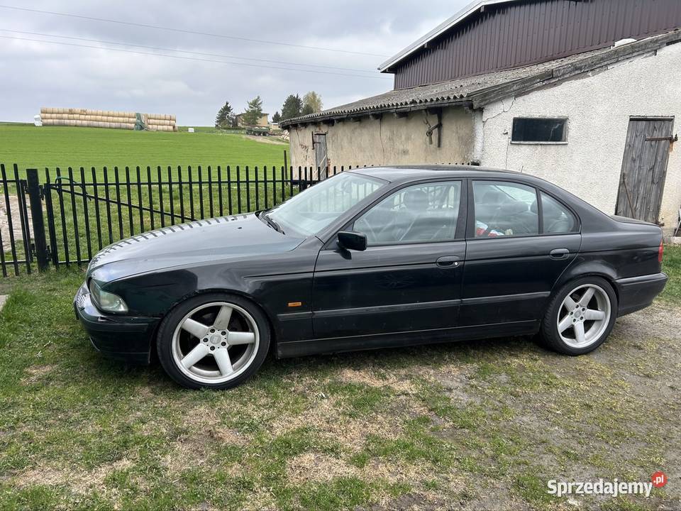 BMW e39 525i LPG seria5 Rok produkcji 1997 warmińsko-mazurskie Iława