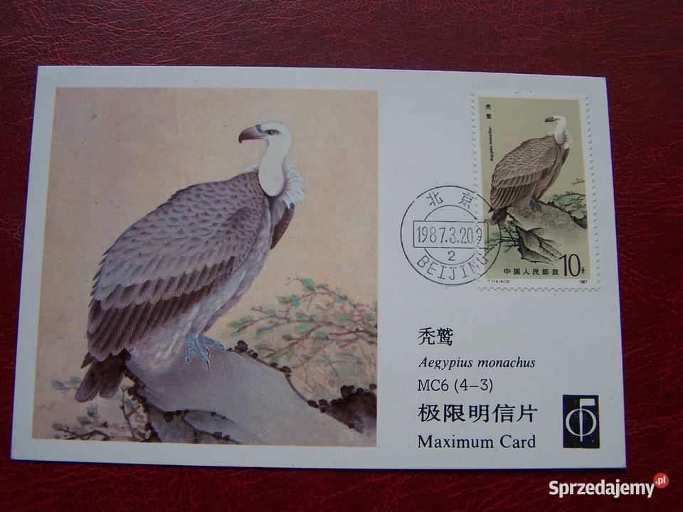 Chiny 1987 Mi 210508 FDC Fauna Ptaki Drapieżne Tychy