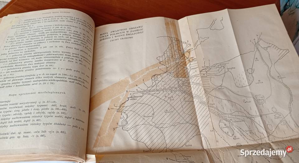 Dialekty języka polskiego z mapami Kazimierz Gdańsk sprzedam