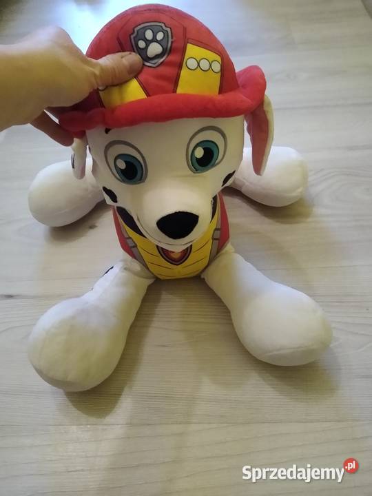 Pluszak dolnośląskie sprzedam