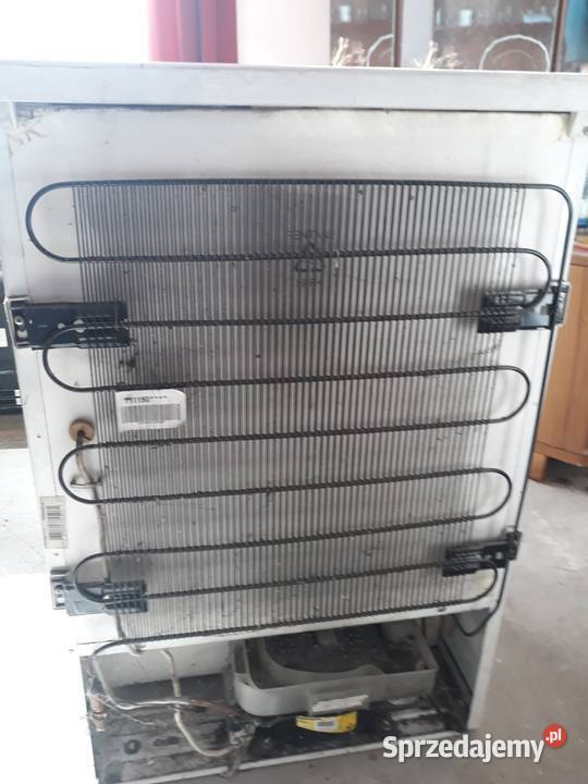 Lodowka Lodówki i zamrażarki Włoszczowa