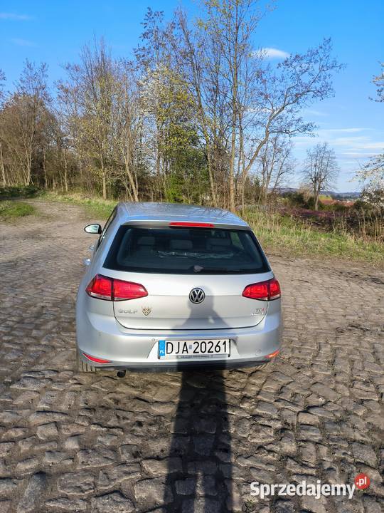 Golf 7 Hatchback 16TDI 290k przebiegu dolnośląskie Bolków sprzedam