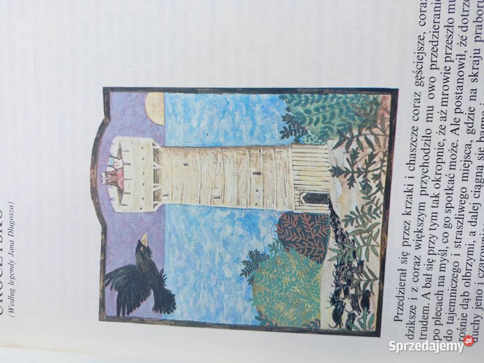 Zrękowiny księżniczki książki Trójmiasto szkolne pomorskie Gdańsk sprzedam