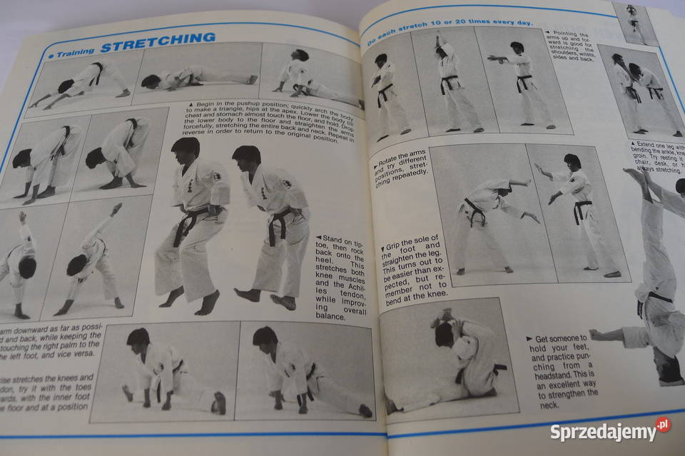 ASHIHARA Fighting Karate cz I Sabaki RARE Radom