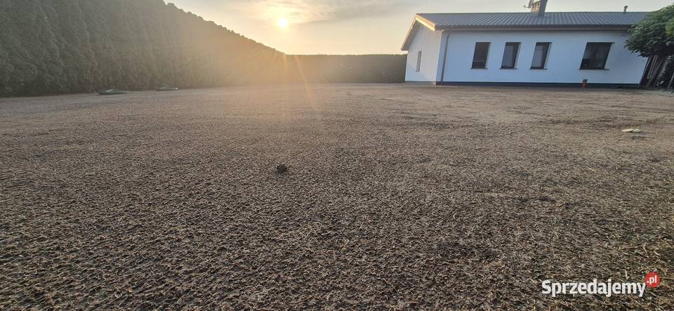 Usługi leśno ogrodnicze Usługi ogrodnicze łódzkie Kurnędz