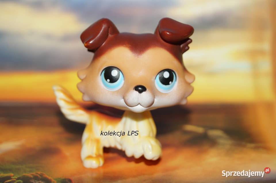 LPS Littlest Pet Shop collie 58 Sage oryginalny Rybnik