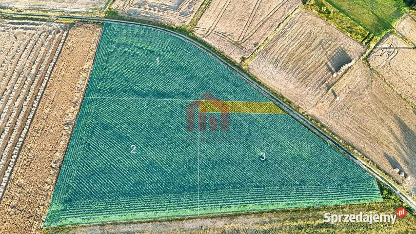 sprzedaży gruntu 3000m2 Brzeziny
