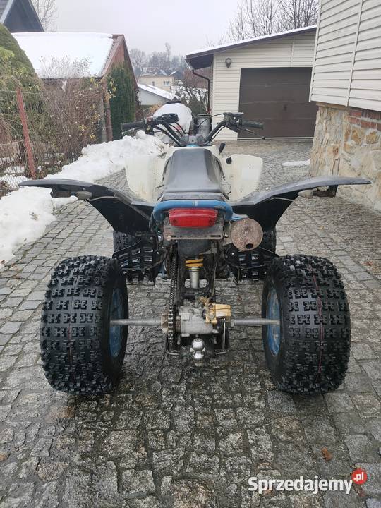 Quad Raptor 350ccm Łańcut