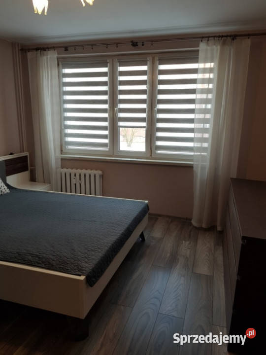 sprzedam mieszkanie Poręba kZawiercia parter Liczba pokoi 2 śląskie