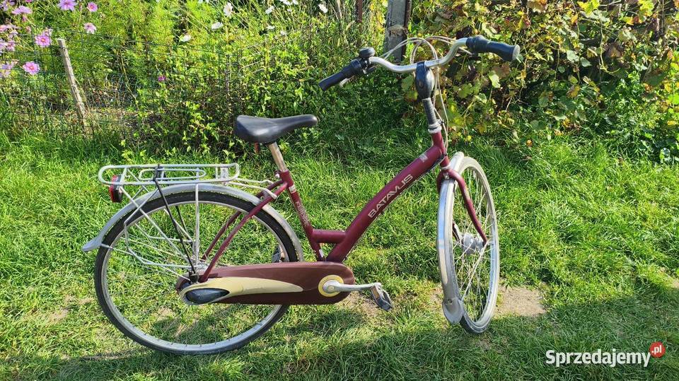 Batavus Gazelle Domasławice
