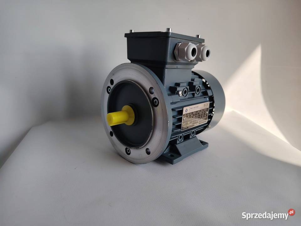 Silnik pompy mlecznej Westfalia Pozostałe