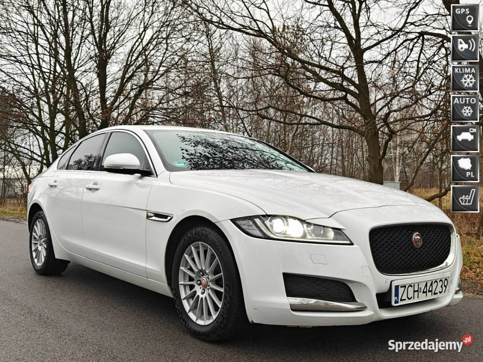Jaguar XF X260 2015 Karczew