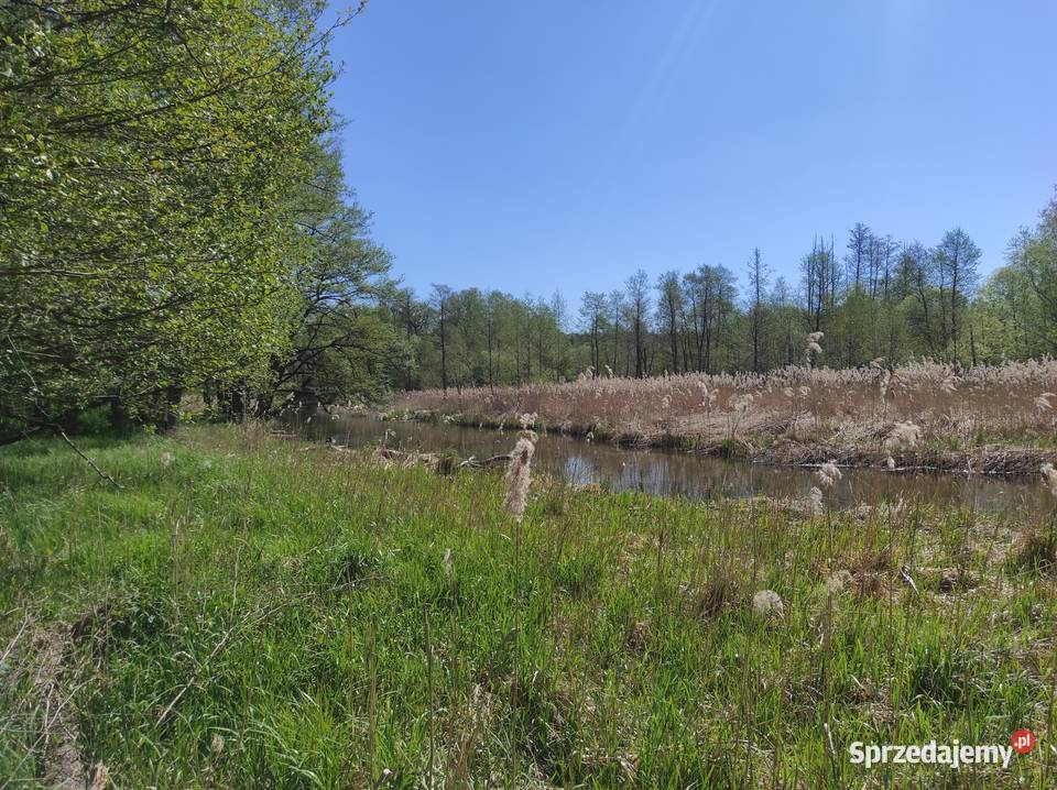 Mazury Działka rzeką Krutyń Ukta