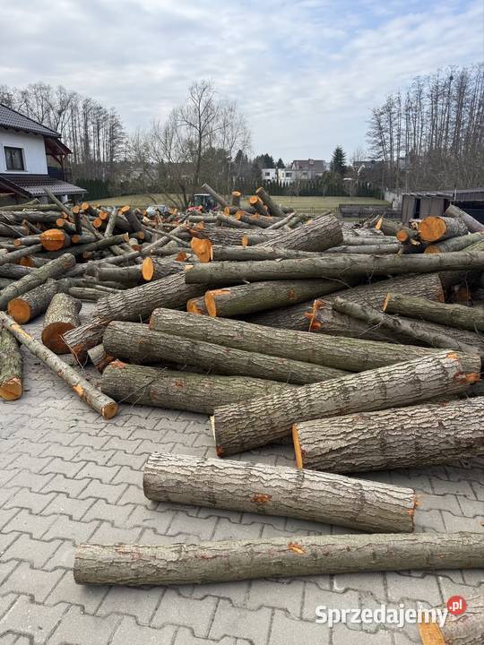 Drewno liściaste w wałkach 15 m Kórnik