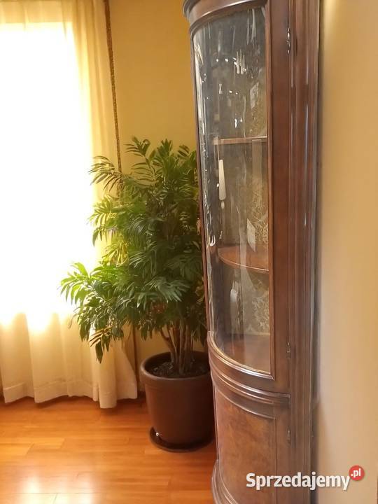 Stylowa witryna narożna orzech gięte fronty Bronisze