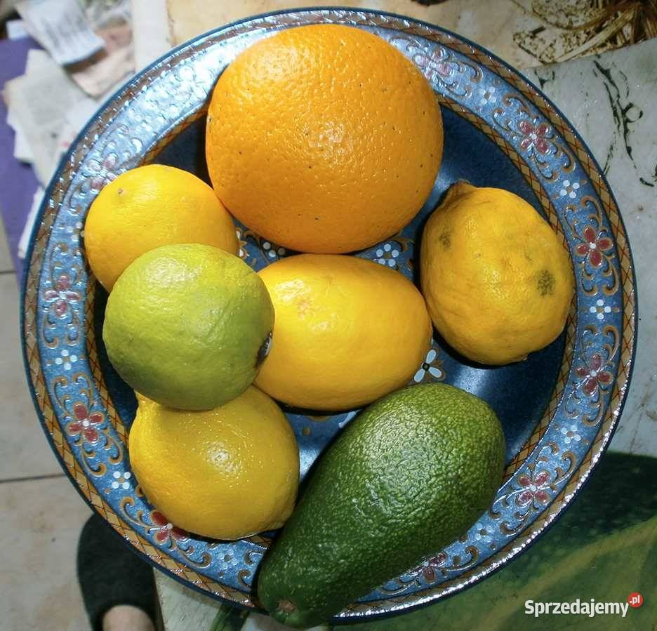 Dekoracyjne Talerze Ceramiczne Komplet Ciemny Kraków