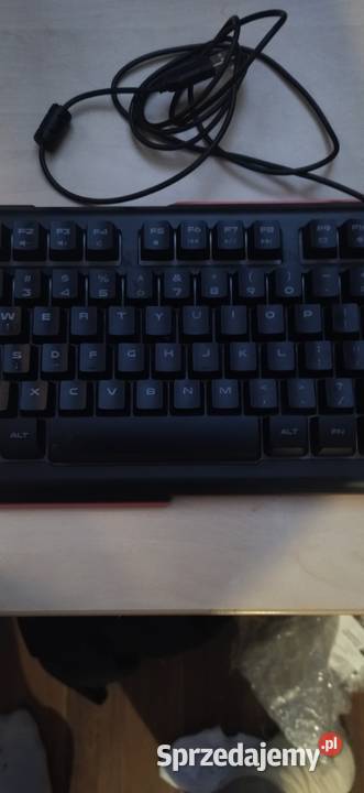 Genesis Rhod 300 RGB małopolskie Konary