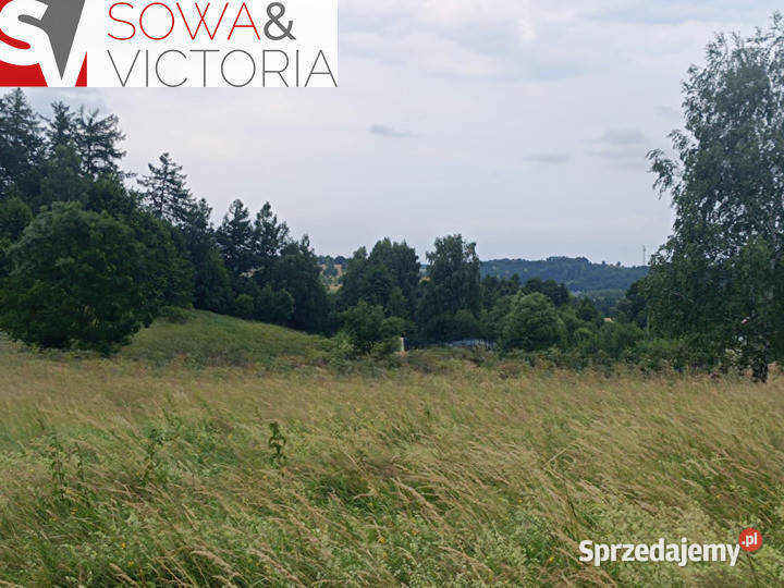 Działka lesie w sąsiedztwie zalewu utwardzona Stare Bogaczowice