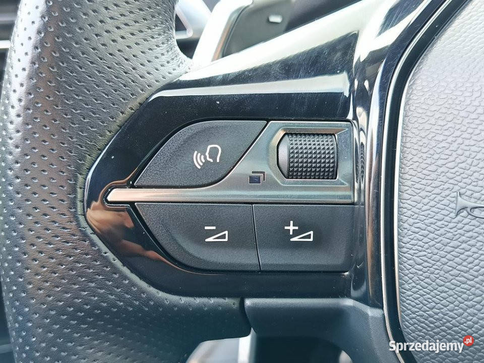 Peugeot 3008 2021r Panorama Focal Temp Adapt Tychy
