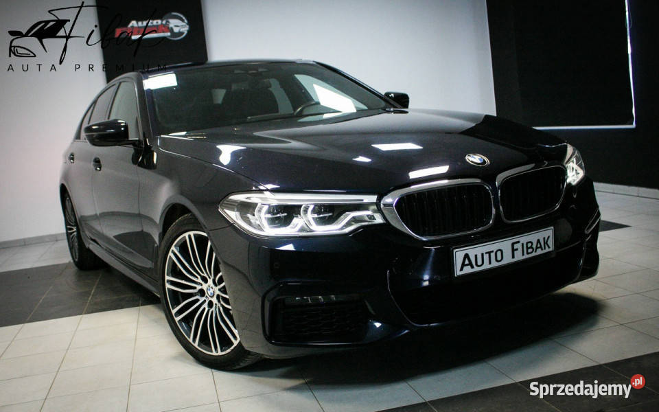 BMW 520 520dCarbonSchwarzMPakietFotele Konstantynów Łódzki