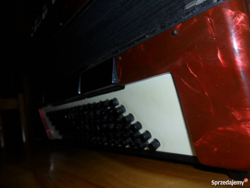 Akordeon weltneister diana 96 basów Rejowiec