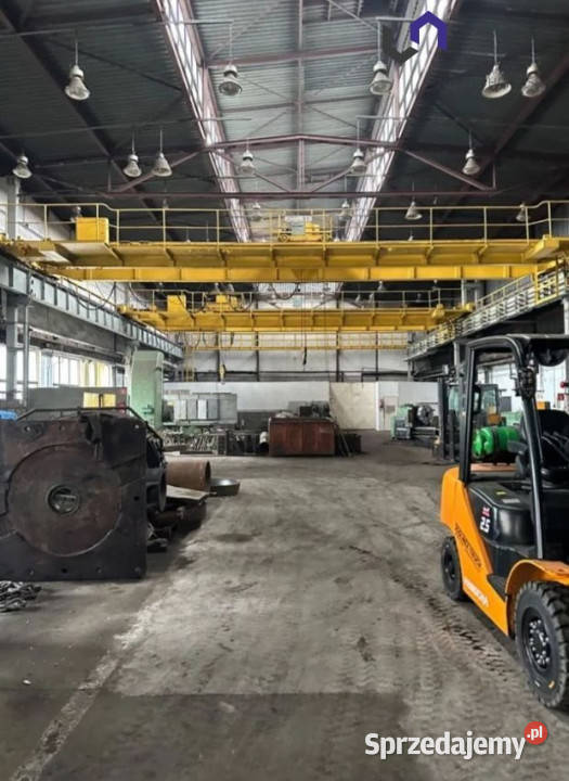 Lokal 1000m2 Katowice